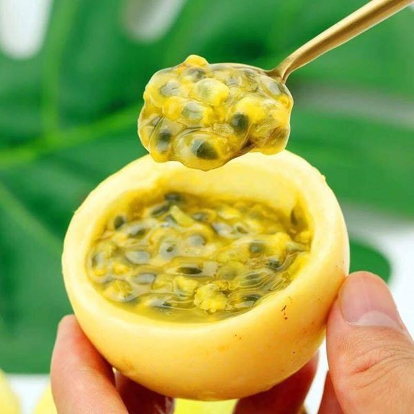 Kiến tạo nền nông nghiệp xanh – Vì sức khỏe cộng đồng