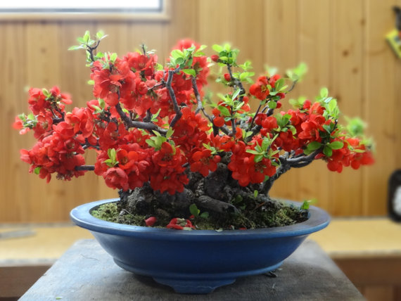 Kiến tạo nền nông nghiệp xanh – Vì sức khỏe cộng đồng